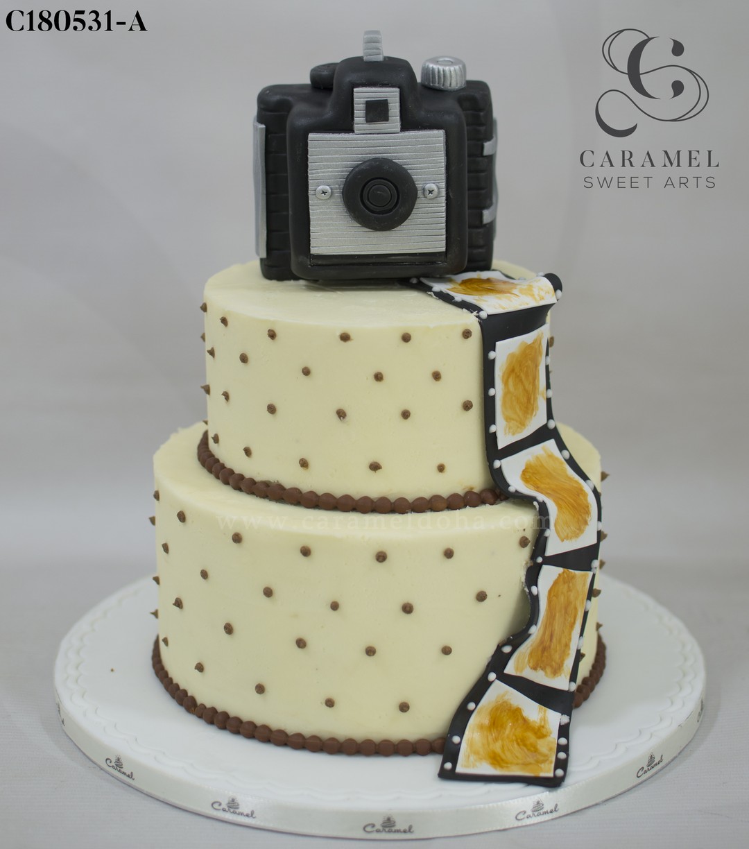 Camera Theme Cake | Online delivery | Auromirra Patisserie | Mumbai -  bestgift.in