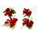 Red Set of 4 Spray, IF4 SET RD