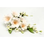 Peach Lily Spray, AL4 PE