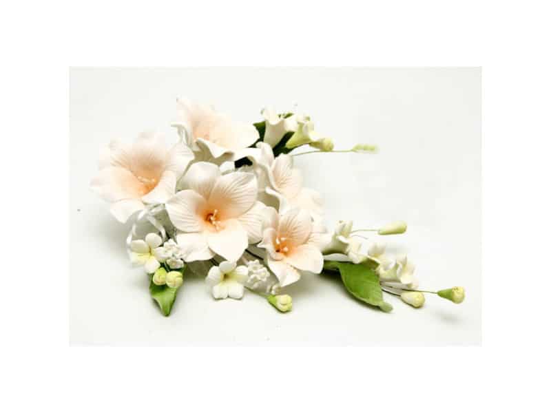 peach_lily_spray.jpg Peach Lily Spray, AL4 PE - Image 1