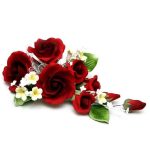 Rose Red Spray, RP RD