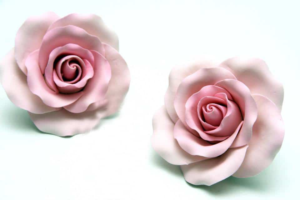 two_large_non_wired_roses_pink_1.jpg Two Large Non Wired Roses PINK, RP8CM@2PK - Image 1