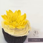 Daisy Flower Cupcakes