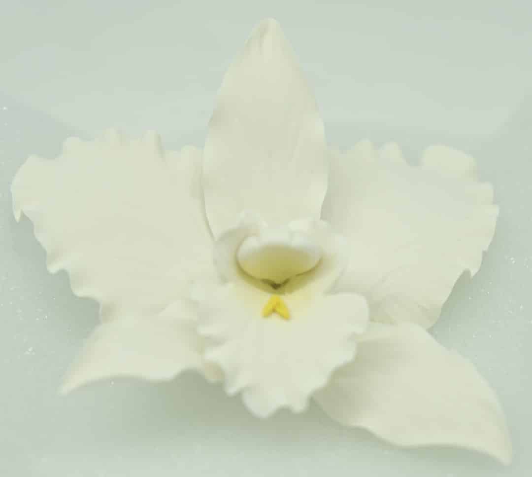 1272.jpg Orchid, WHITE - Image 1