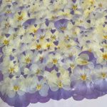 Natural Pressed Dried Flowers 25pcs