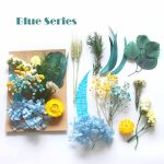 Natural Dried Flowers Assorted