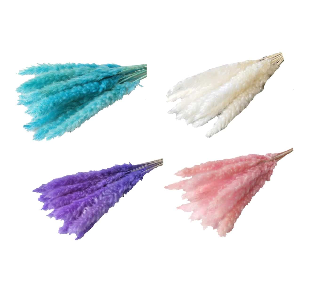 Dried-Pampas-Asstd.jpg Dried Pampas Bunch, Green - Image 1