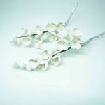 Freesia Filler Spray, LCCJ@2WH