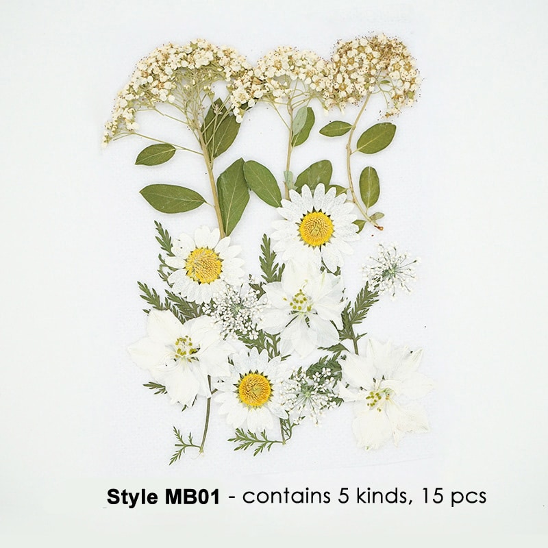 MB01-2.jpg Natural Pressed Dried Flowers Assorted Colours - Image 1