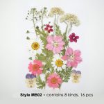 Natural Pressed Dried Flowers Assorted Colours