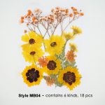 Natural Pressed Dried Flowers Assorted Colours