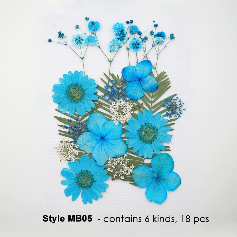 MB05.jpg Natural Pressed Dried Flowers Assorted Colours - Image 1