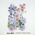 Natural Pressed Dried Flowers Assorted Colours