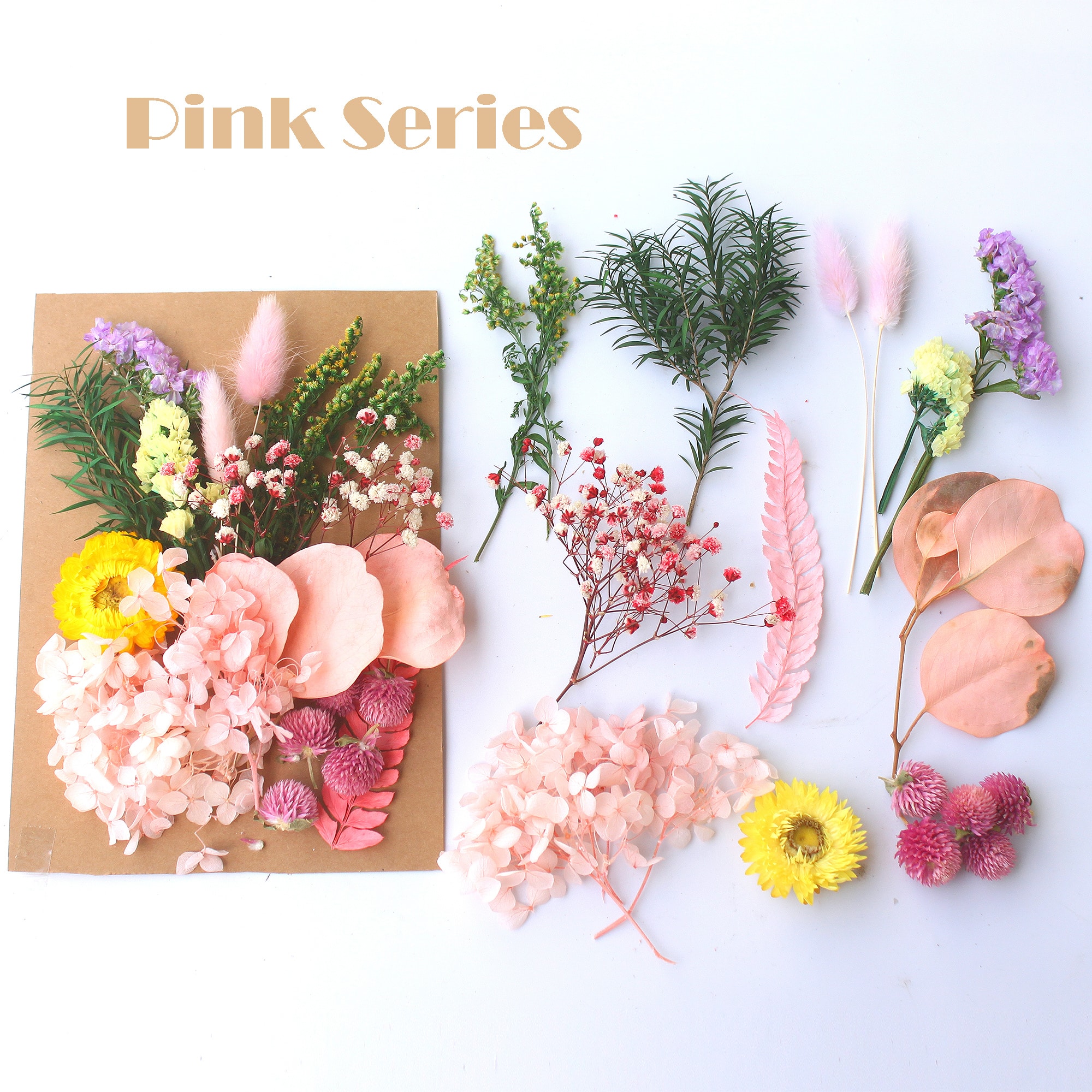 Pink.jpg Natural Dried Flowers Assorted - Image 1