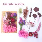 Natural Dried Flowers Assorted