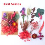 Natural Dried Flowers Assorted