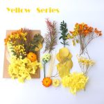 Natural Dried Flowers Assorted