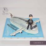 3D Airplane Cake