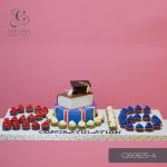 Graduation Cake & Cupcakes