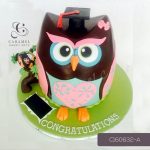 Graduation Cake