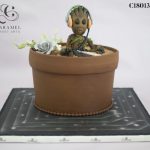 Baby Grooty Cake