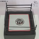 WWE Wrestling Ring Cake