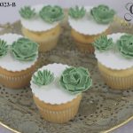 Succulent Cupcakes