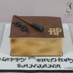 Harry Potter Cake