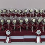 National day Cakepops