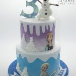 Frozen Cake