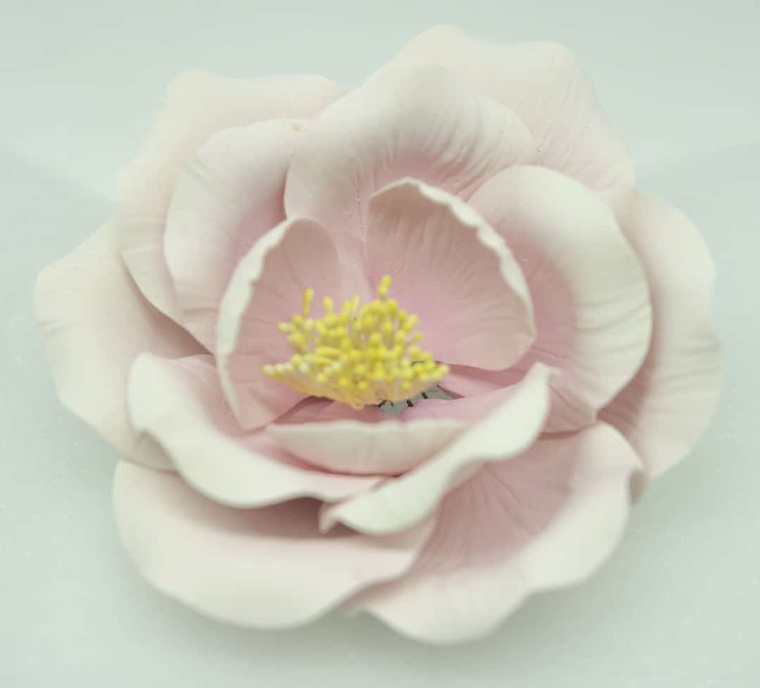 dsc05999.jpg Peony 9cm PINK, PSB9LP - Image 1