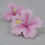 Hibiscus 2pcs PINK, HBSM7CM@2LP