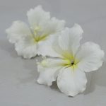 Hibiscus, 2pcs WHITE, HBSM7CM@2WH