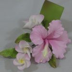 Hawaiian Themed Spray PINK, MOA2 LP