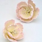 Edge Open Peony 2pcs  PINK, PFTSM@2PK