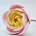 Ranunculus 2pcs PINK, RCN@2PK