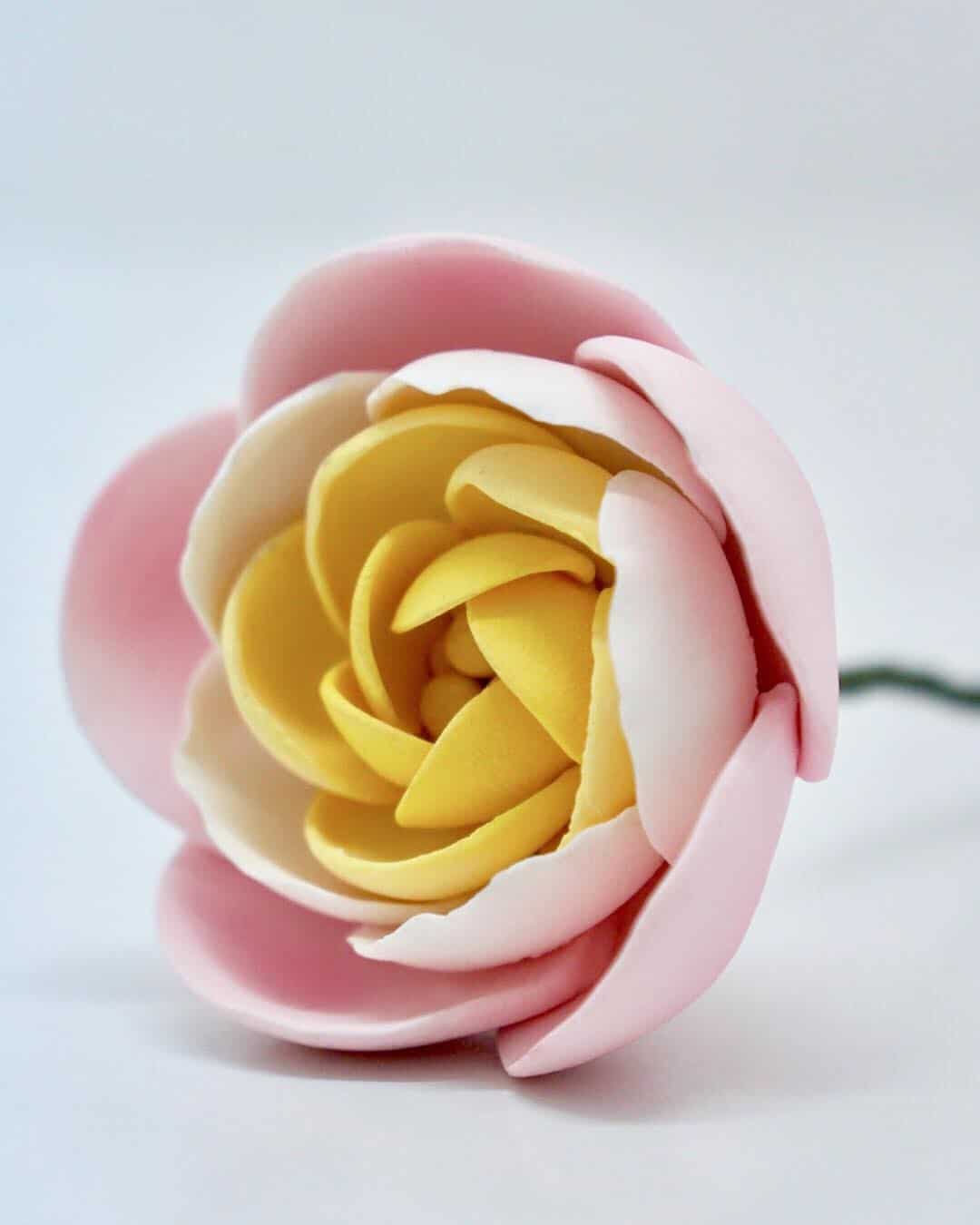 ranunculus.jpg Ranunculus 2pcs PINK, RCN@2PK - Image 1