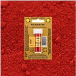 Red Blossom Tint, 7ml